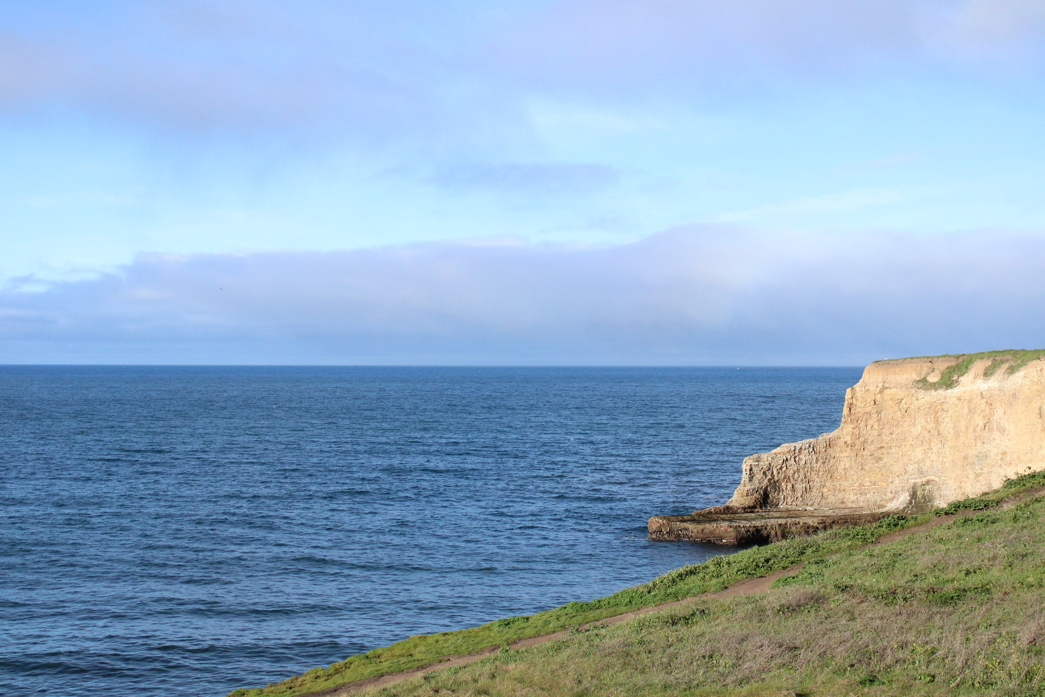 Cliffside vista over calm Pacific, pale blue sky