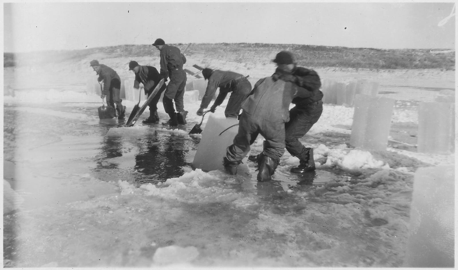 Workers and horses cutting a grid of ice blocks on a frozen lake at Sand Lake, South Dakota, about 1938